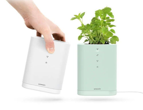 2020年設計流行話題 人與自然